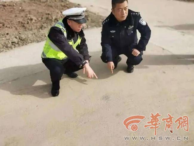 什么狗让他如此疯狂?西安一男子偷狗被发现,驾车撞伤狗主人后逃逸